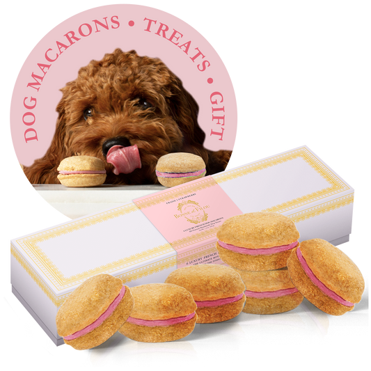 Dog Macarons (6 Pack)