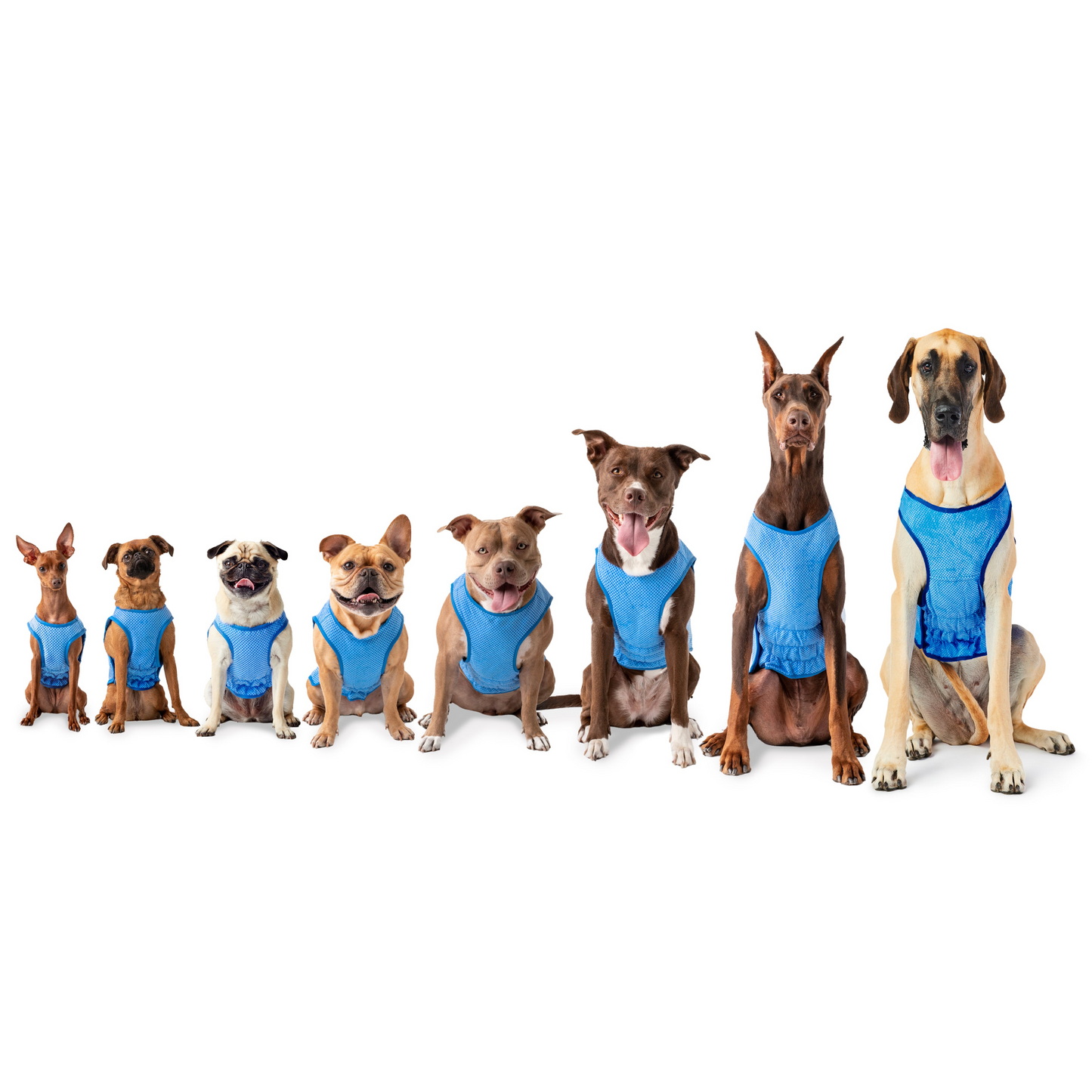 ICE BAND - Dog Cooling Vest