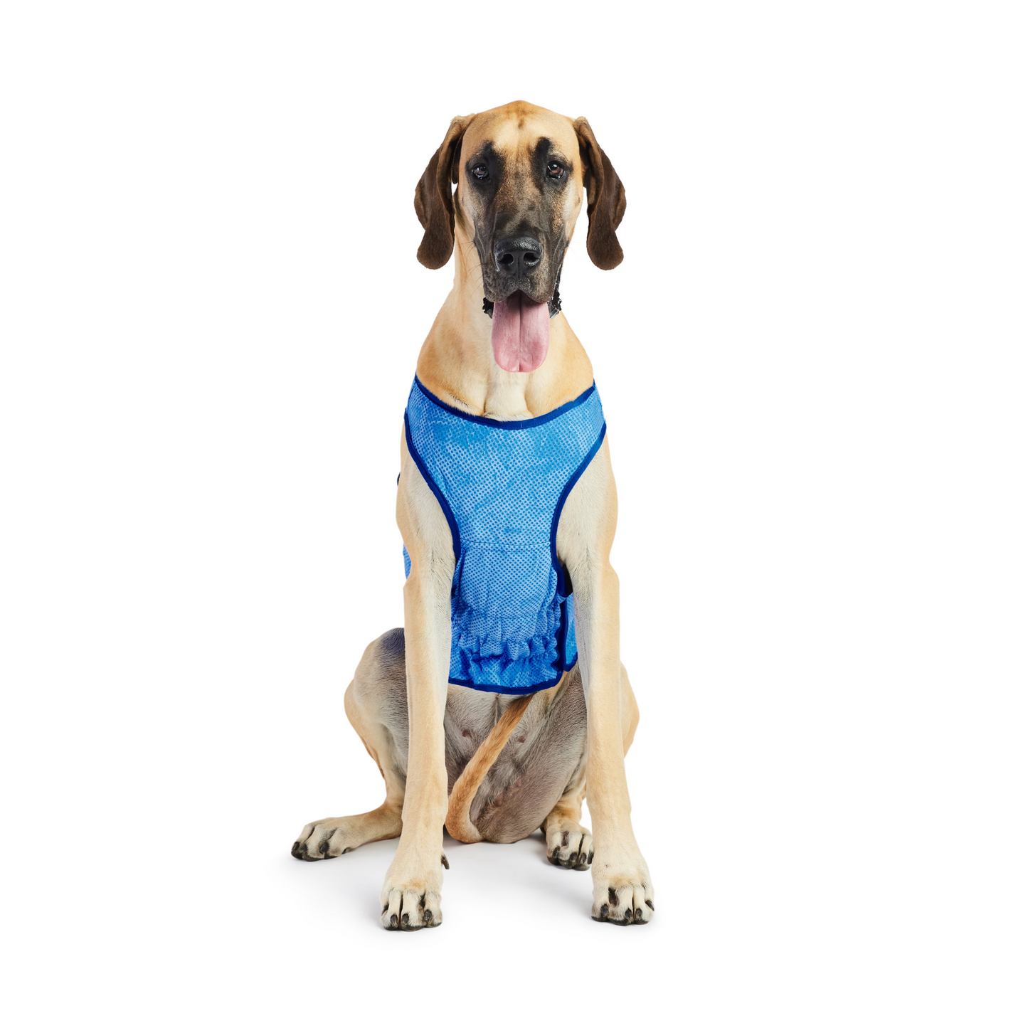 ICE BAND - Dog Cooling Vest