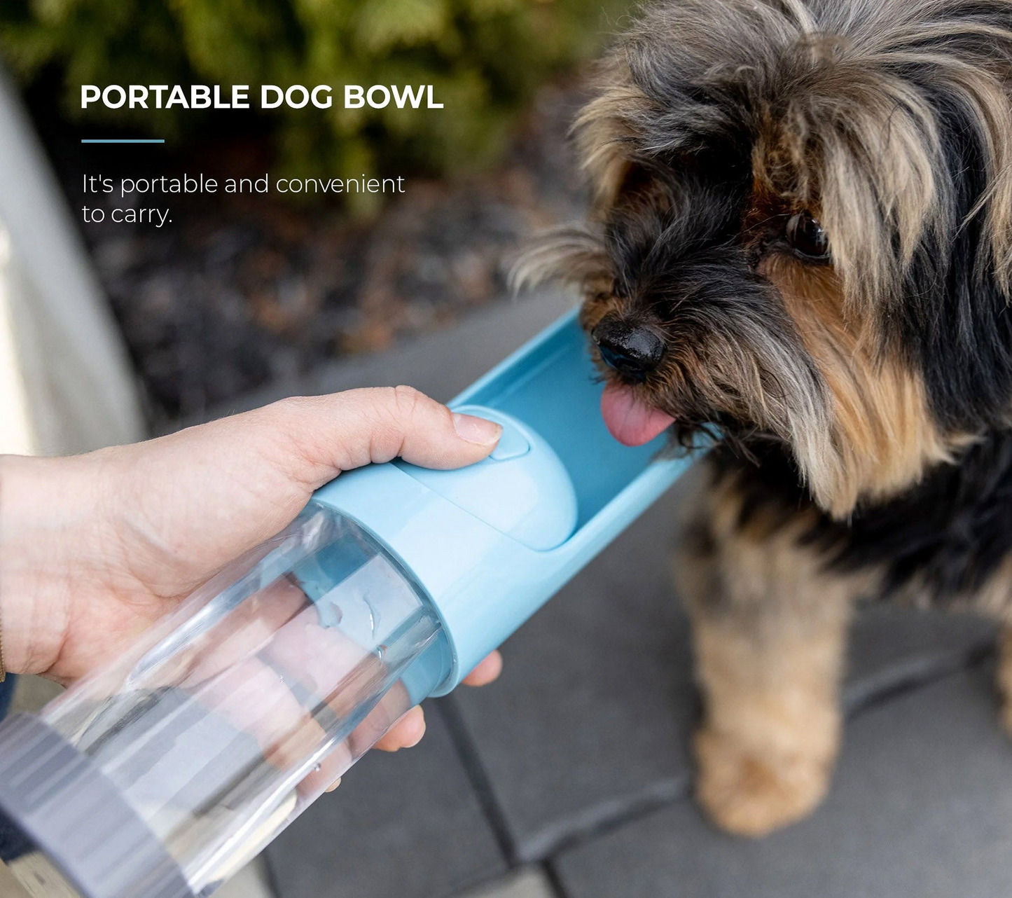 Portable Dog Water Bottle With Charcoal Filter